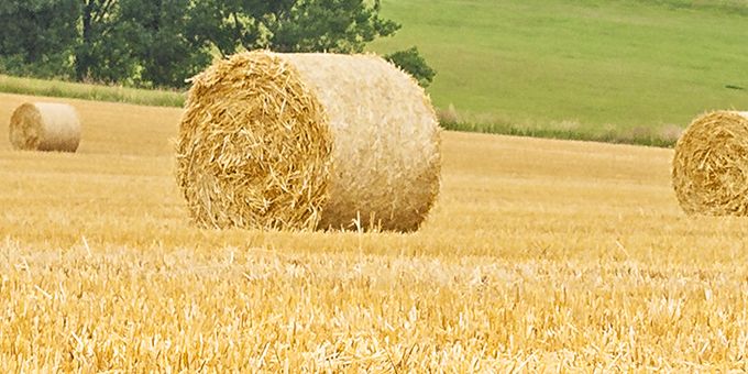 A Guide to Storing Silage on Farms