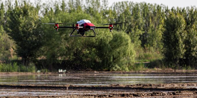 Automated Farming: XAG Introduces Rice Seeding Drone to Mitigate Labour Shortage