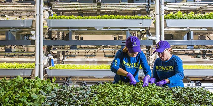 NASA Research Launches a New Generation of Indoor Farming