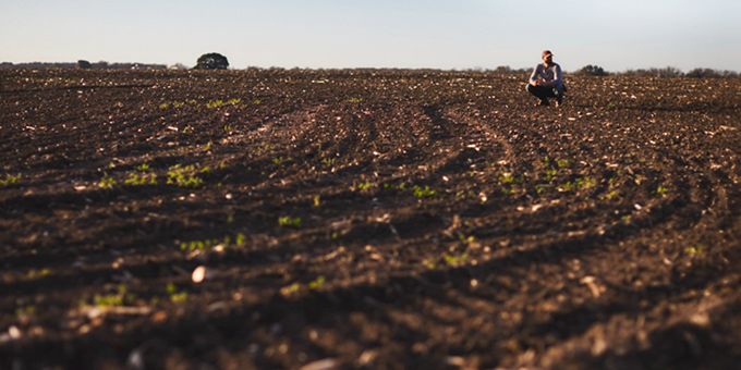 Black Gold is Worth the Wait: A Soil Health Mindset