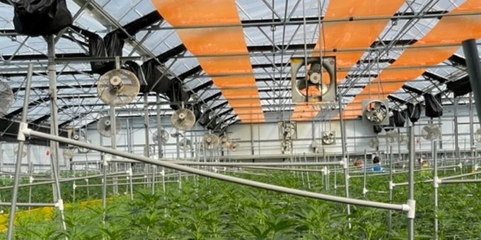 The Key to Thriving Greenhouses: 8 Simple Steps to Commercial Greenhouse Roof Cleaning
