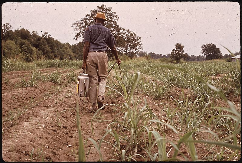 File:SPRAYING PESTICIDES - NARA - 544246.jpg