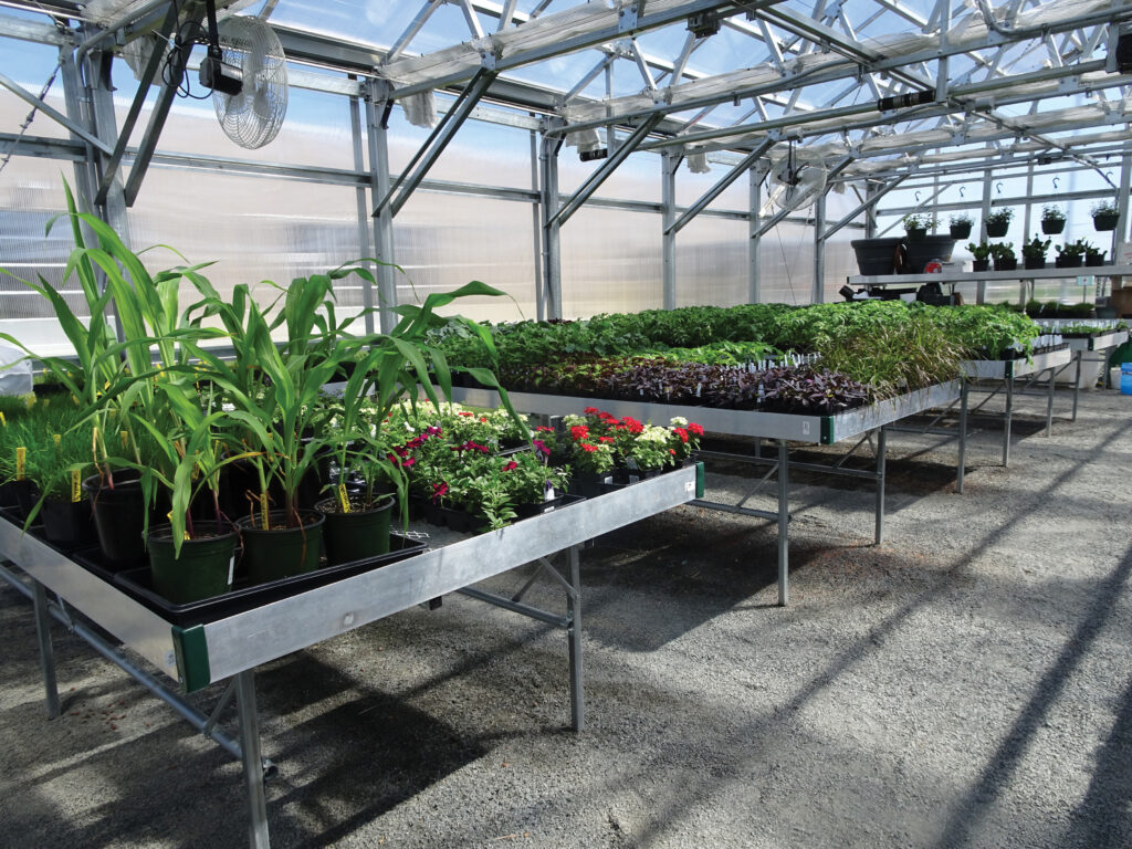 Stationary Greenhouse Benching