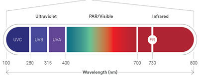 A visual reference showing the colors of light by wavelength