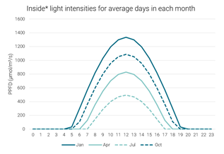 Light Intensities