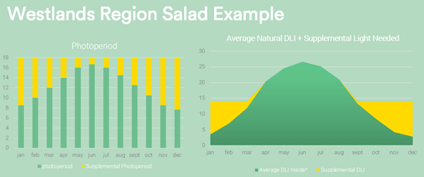 Westlands Salad Example